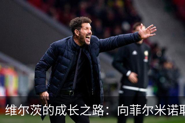 维尔茨的成长之路：向菲尔米诺取经的欢乐旅程